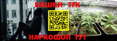 шишки Лесосибирск