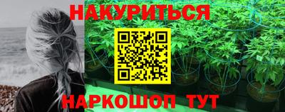 шишки Лесосибирск