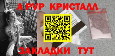 шишки Лесосибирск