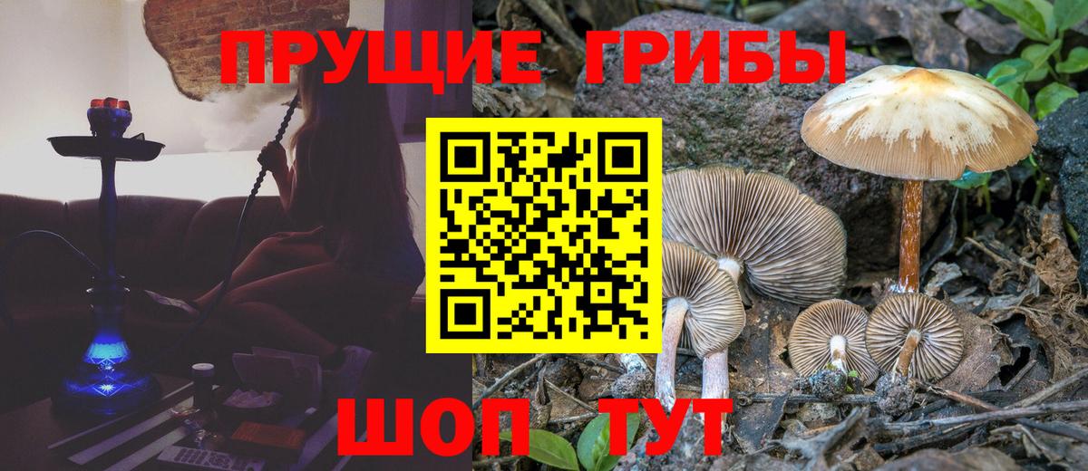 Галлюциногенные грибы Cubensis Усолье-Сибирское